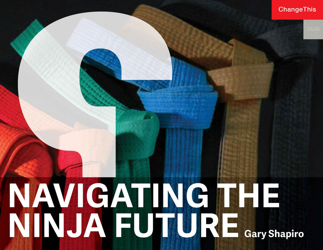 Navigating the Ninja Future