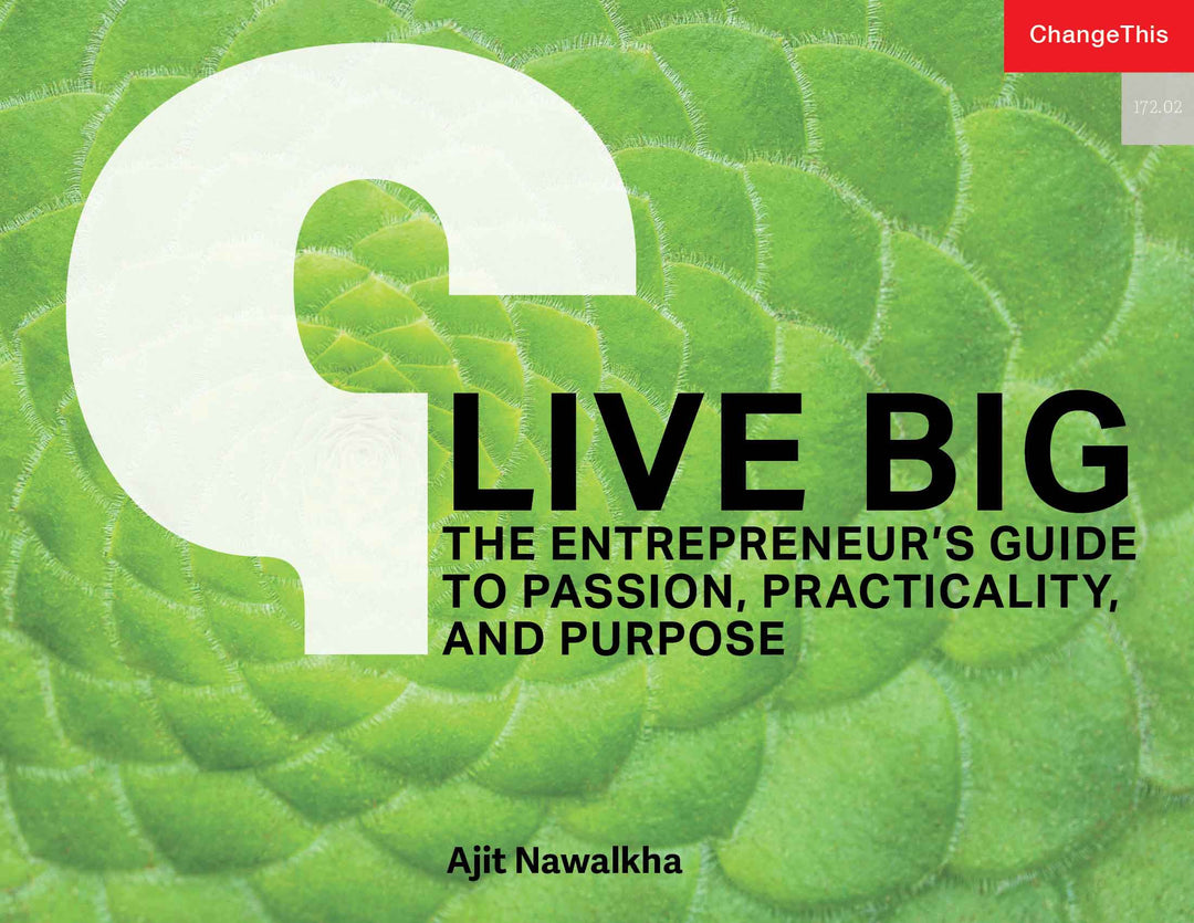 Live Big: The Entrepreneur's Guide to Passion, Practicality, and Purpose