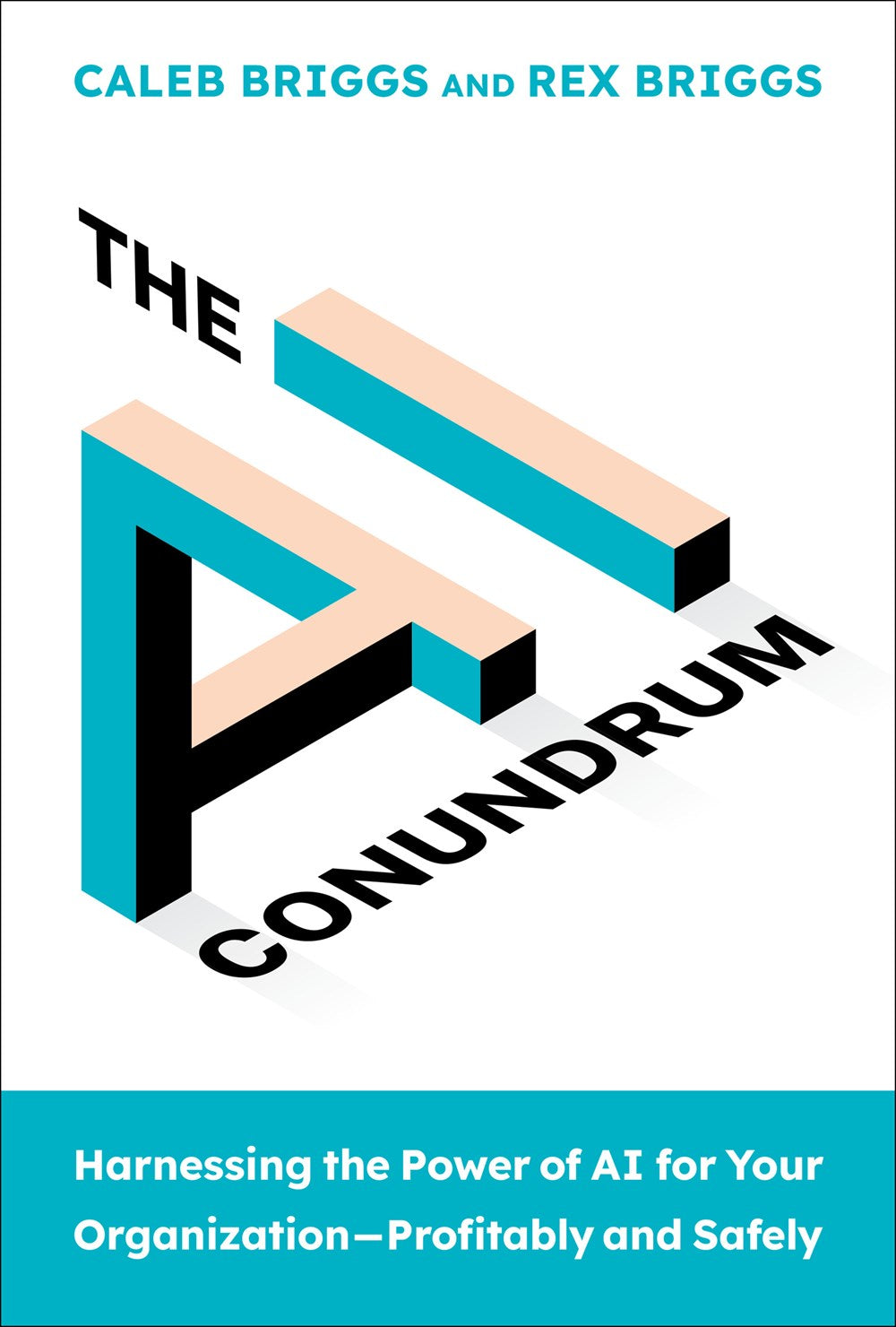 AI Conundrum: Harnessing the Power of AI for Your Organization--Profitably and Safely