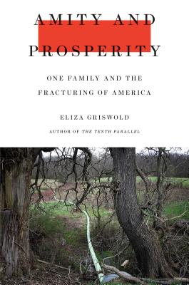 Amity and Prosperity: One Family and the Fracturing of America