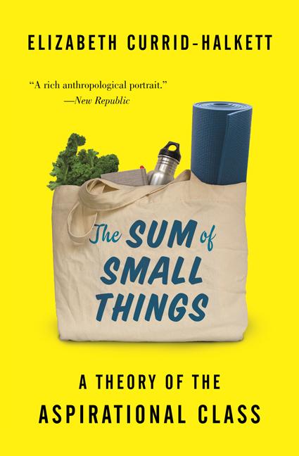 Sum of Small Things: A Theory of the Aspirational Class