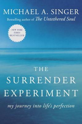 Surrender Experiment: My Journey Into Life's Perfection