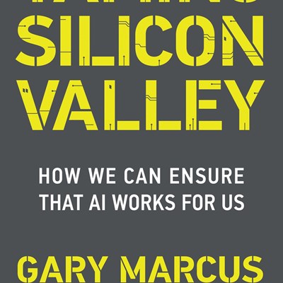 An Excerpt from <i>Taming Silicon Valley</i>