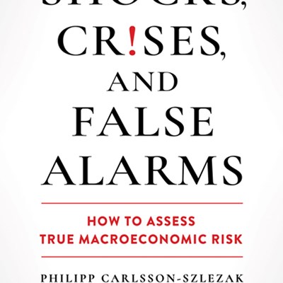 An Excerpt from Shocks, Crises, and False Alarms
