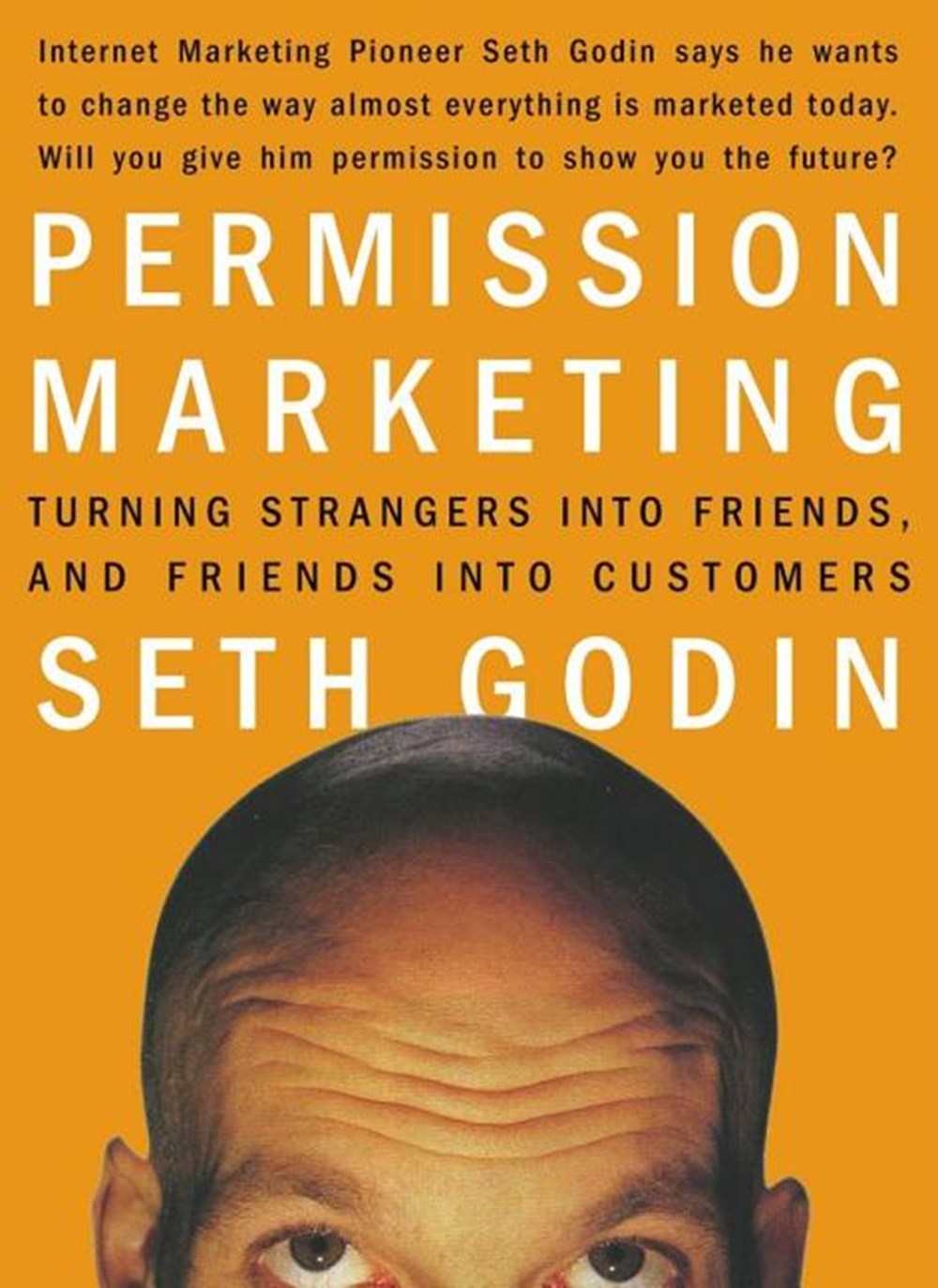 Permission Marketing Turning Strangers Into Friends And Friends Into Customers By Seth Godin - 