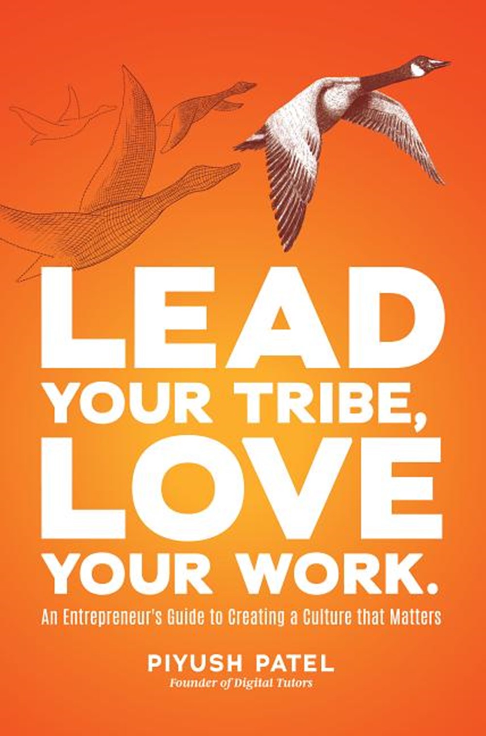 Books About Workplace Culture Lead Your Tribe Love Your Work  An Entrepreneur s Guide 