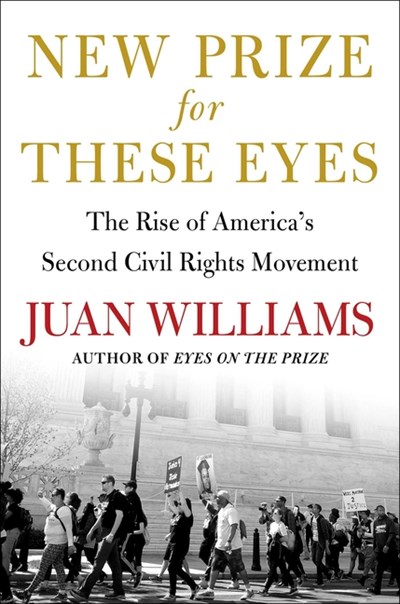  New Prize for These Eyes: The Rise of America's Second Civil Rights Movement