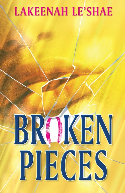 all the broken pieces by ann e burg